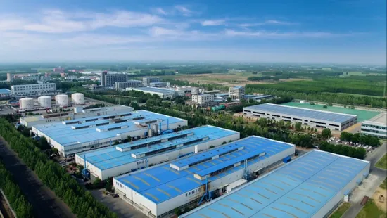 HDPE LDPE PE PLA Drawstring Biodegradable Dog Poop Nappy Diaper 65 13 Gallon Bin Trash Garbage Vest Carrier Ziplock Shopping Food Packaging T