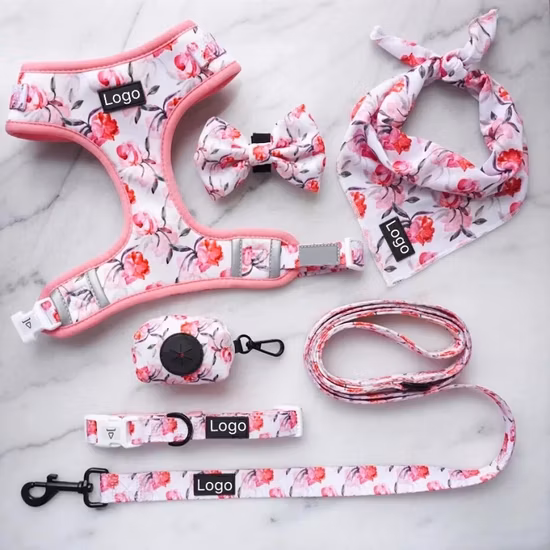 Transparent PVC Waterproof Ribbon Pet Collar Dog Leash Waterproof Ribbon Thermal Transfer Pattern