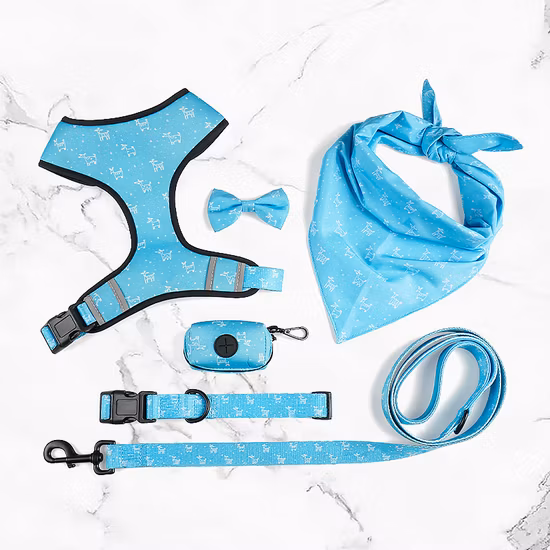 Transparent PVC Waterproof Ribbon Pet Collar Dog Leash Waterproof Ribbon Thermal Transfer Pattern