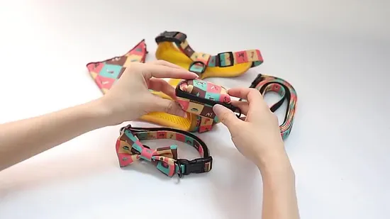 Transparent PVC Waterproof Ribbon Pet Collar Dog Leash Waterproof Ribbon Thermal Transfer Pattern